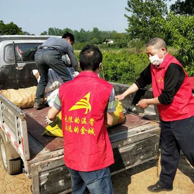 帮卖助农 用爱扶贫——金城红马甲赴子陵采购爱心农产品活动纪实